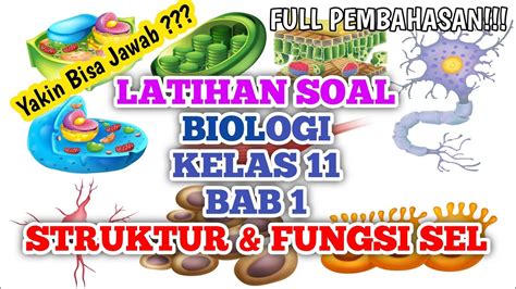 Latihan Soal Biologi Kelas 11 Bab 1 Struktur Dan Fungsi Sel Sel