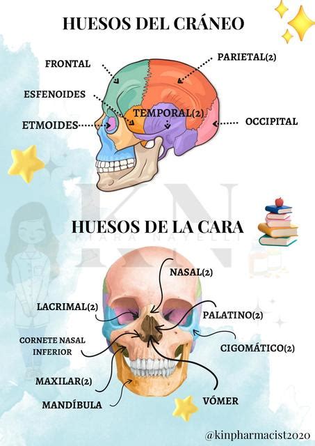 Medicina UDocz