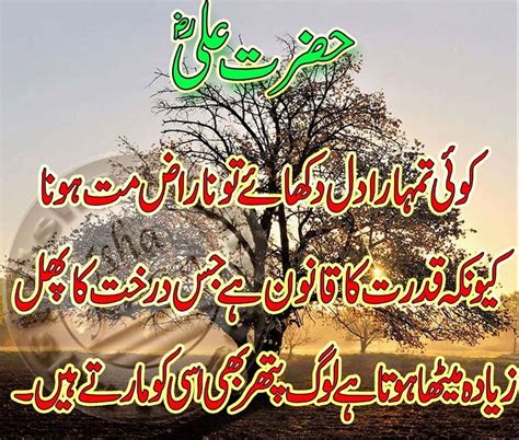 Beautiful Hazrat Ali R A Quotes Images In Urdu Best Urdu Poetry Pics And Quotes Photos