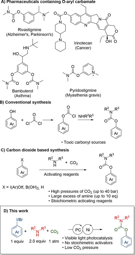 Dual Nickel Photocatalysis For O Aryl Carbamate Synthesis From Carbon Dioxide The Journal Of