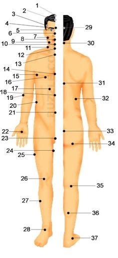 Pressure Points Chart Ideas Pressure Points Pressure Points Chart