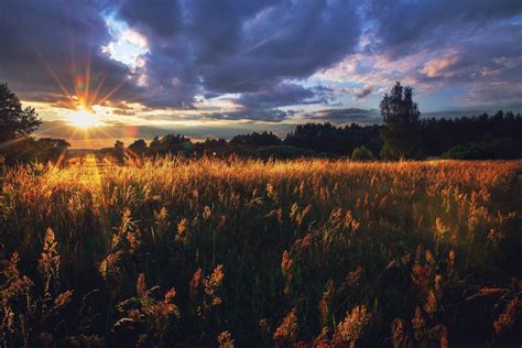 Wallpaper Sunlight Landscape Forest Sunset Nature Sky Field