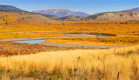 Autumn In Yellowstone National Park Everything You Need To Know