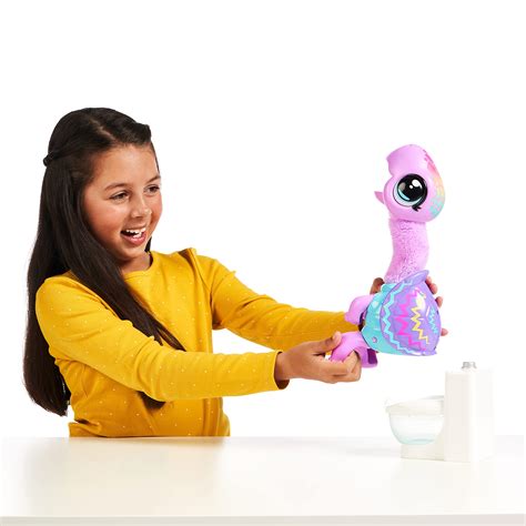 turtle little live pets 5