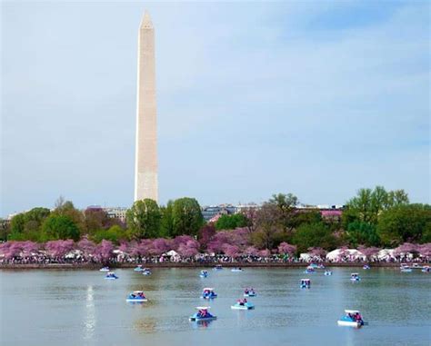 5 Summer Activities to Get Active in Washington D.C. | Set Physical Therapy