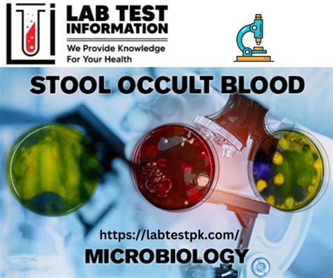 Stool Occult Blood Test