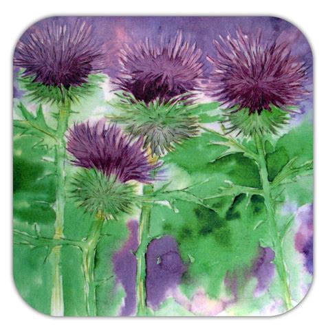 Scottish Thistle Coasters Scottish Thistle Thistle Scotland Castles