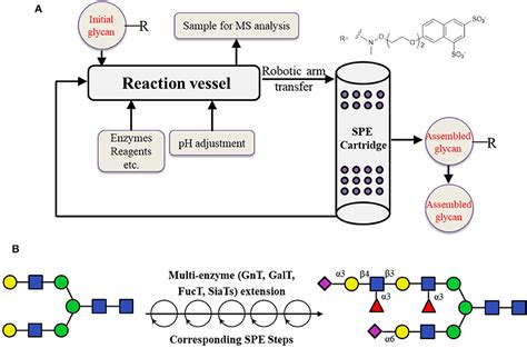 Frontiers Recent Progress In Chemo Enzymatic Methods For The