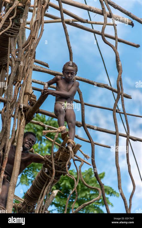 Land diving vanuatu hi-res stock photography and images - Alamy