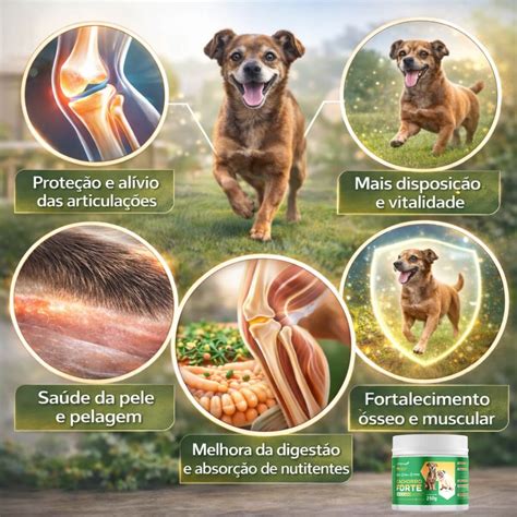 Suplemento Para Articulações Cachorro - Cachorro Forte Vovô & Vovó 250g - Suplemento para Cães Idosos com ...