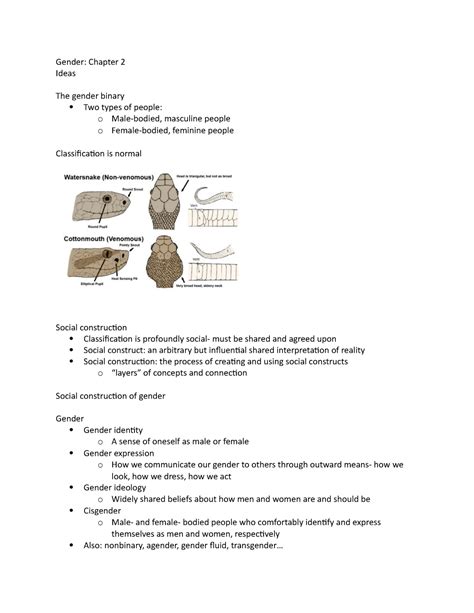 Gender Chapter 2 Lecture Notes 2 Gender Chapter 2 Ideas The Gender