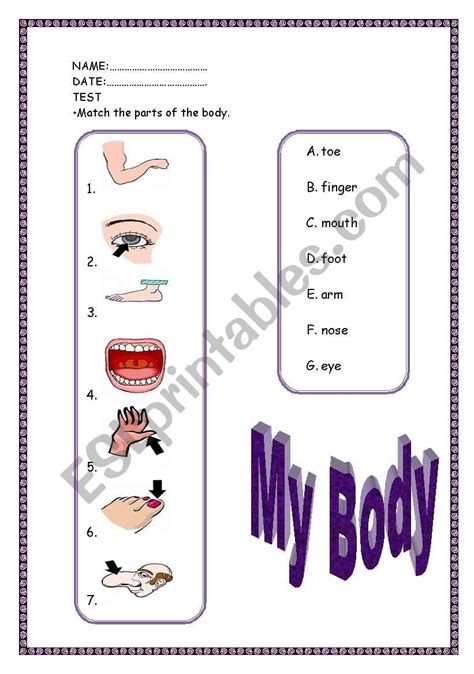 Parts Of The Body Domino Cards Fully Editable 3 Pages Esl Worksheet By Valentinaper