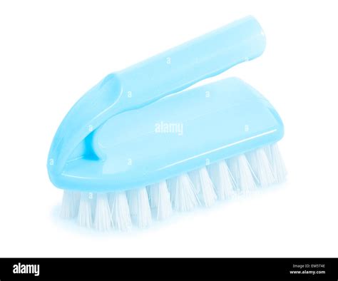 Isolated Scrub Brush Stock Photo Alamy