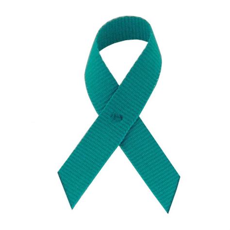 Teal Grosgrain Awareness Ribbons Bag Of Lapel Ribbons W Safety