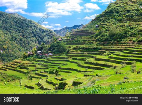 Rice Terraces Image & Photo (Free Trial) | Bigstock