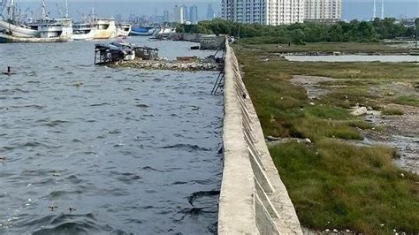 Heboh Air Laut Di Jakarta Lebih Tinggi Dari Daratan Benarkah Akan