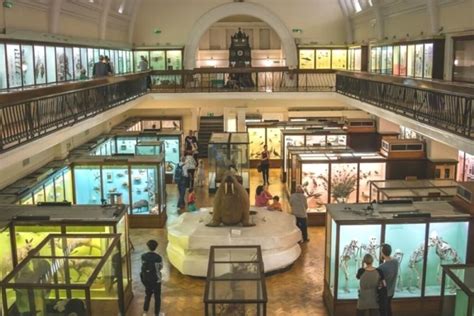 The 10 Best Museums In London For Kids In 2023