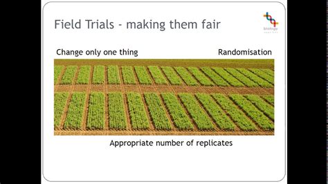 2a Breeding And Field Trials Youtube