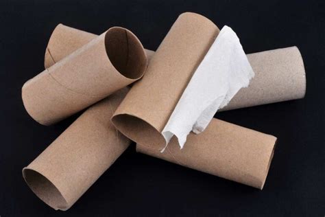 Ne jetez plus vos rouleaux de papier toilette vides voici 10 idées