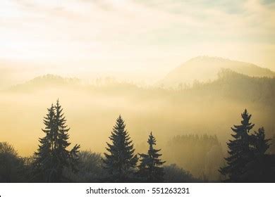 Foggy Mountain Forest Sunrise Stock Photo 551263231 | Shutterstock