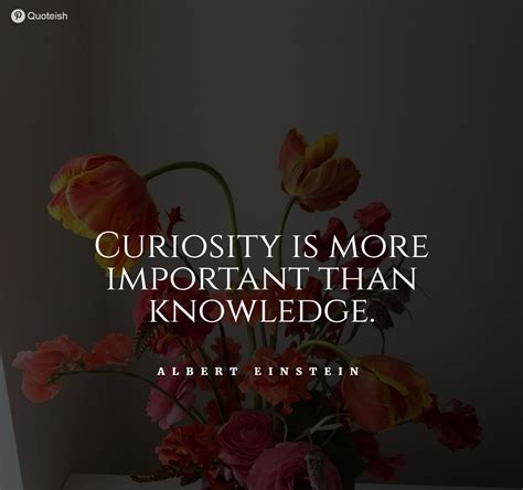 65 Curiosity Quotes And Sayings Quoteish