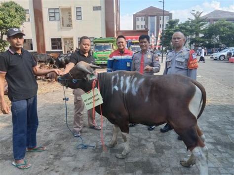 Sambut Hari Raya Idul Adha H Pt Kpi Ru Vi Jamin Pelaksanaan