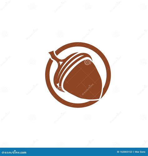 Acorn Logo Ilustration Vector Template Stock Vector Illustration Of