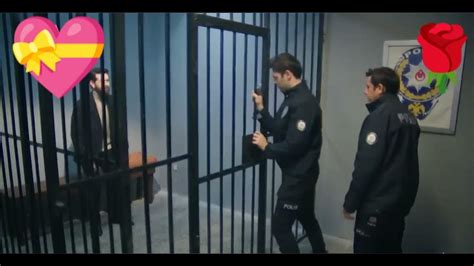 Кровавые цветы.Дилан забрала заявление.Азадэ хочет убить семью Дилан ...