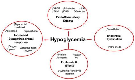 Biomolecules Free Full Text The Role Of Platelets In Hypoglycemia