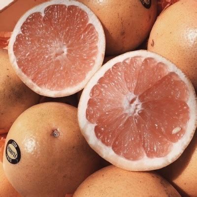 Perhaps Fuck Off Might Be Too Kind