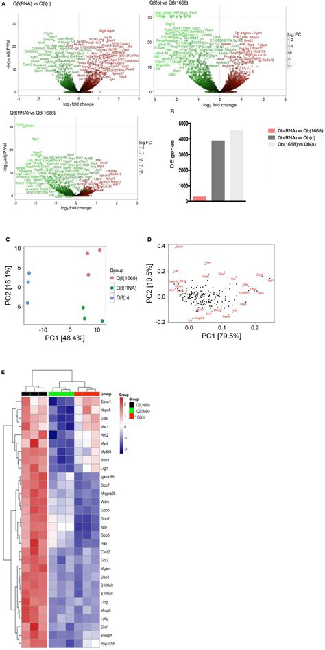 Frontiers Early Transcriptional Signature In Dendritic Cells And The