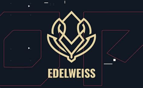 Edelweiss Presenta Su Nuevo Roster De Valorant Hero Network