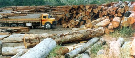 La Explotación De Recursos Naturales