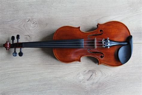 Best Violin Brands: Top 5 Best Violins In 2022