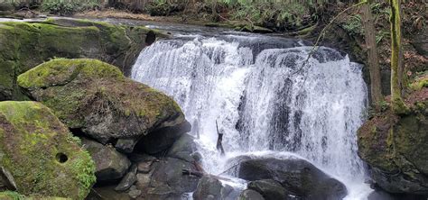 Waterfalls in Washington – Best Cascading Falls To Visit