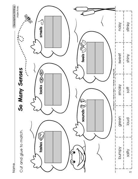 20 Categorizing Worksheets For 1st Grade Desalas Template