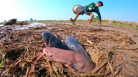 It S Amazing Fishing A Fisherman Skill Catch Monster Redfish Catfish