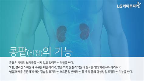 닥터스 팩트체크3화 콩팥 기능을 저하시키는 콩팥 독성 약물이 있다