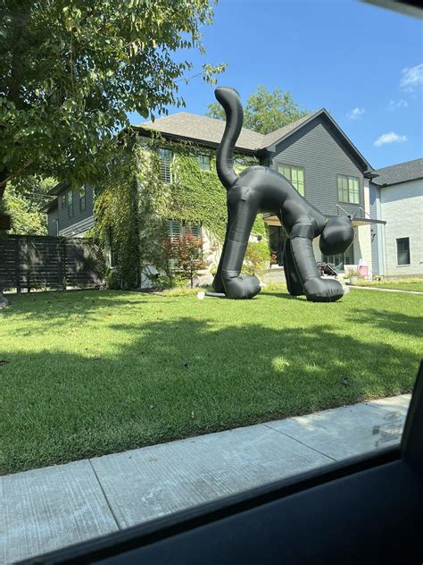 David Martin Burrows