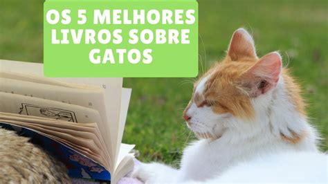 Os 5 Melhores Livros Sobre Gatos Para Ter Um Felino Mais Feliz E