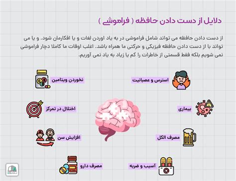 حافظه چیست؟ انواع حافظه، فراموشی و تقویت حافظه مجله ای سنج