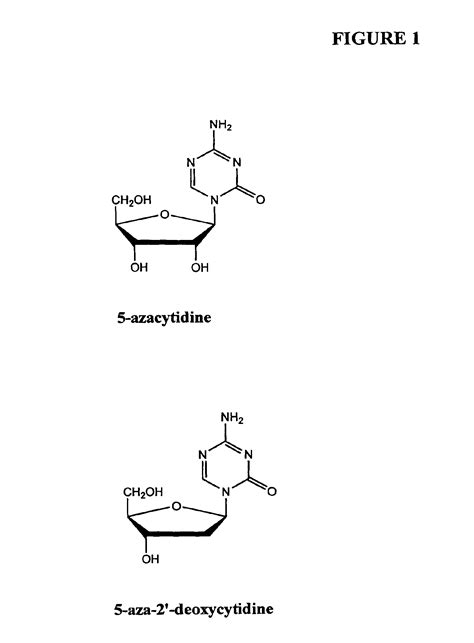 Compositions And Methods For Reestablishing Gene Transcription Through