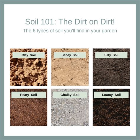 Understanding Your Garden's Foundation: Types of Garden Soil - Zest for ...