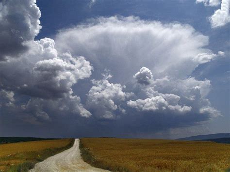 Fotos ganadoras del concurso fotográfico VII ENAM Collbató 2006