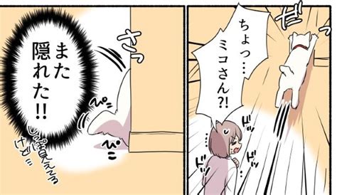 ＜画像9 11＞【ネコの怪談 】恐怖 …いや、かわいすぎて震える “猫あるある”な真夏の怪談に胸バクバク 【作者に聞く