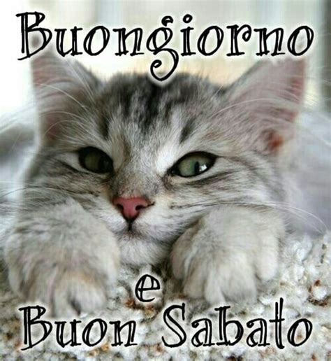 Immagini Buon Sabato Divertenti