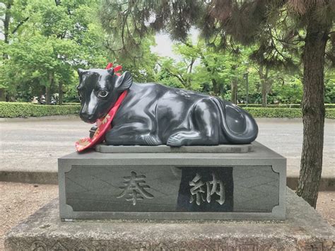 【京都市上京区】北野天満宮で無病息災を祈る茅の輪くぐり 6月30日まで（ケッケ） エキスパート Yahooニュース