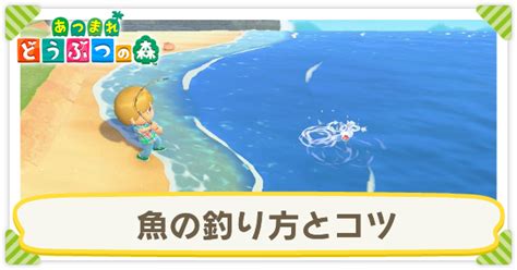 【あつ森】魚の釣り方とコツ【あつまれどうぶつの森】｜ゲームエイト