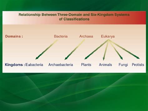 Types of Microorganisms Microbiology Unit 1 Types of