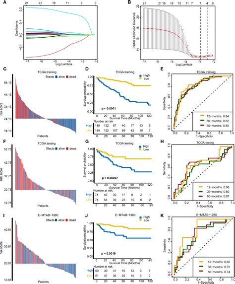 Frontiers Cuproptosis Related Modification Patterns Depict The Tumor